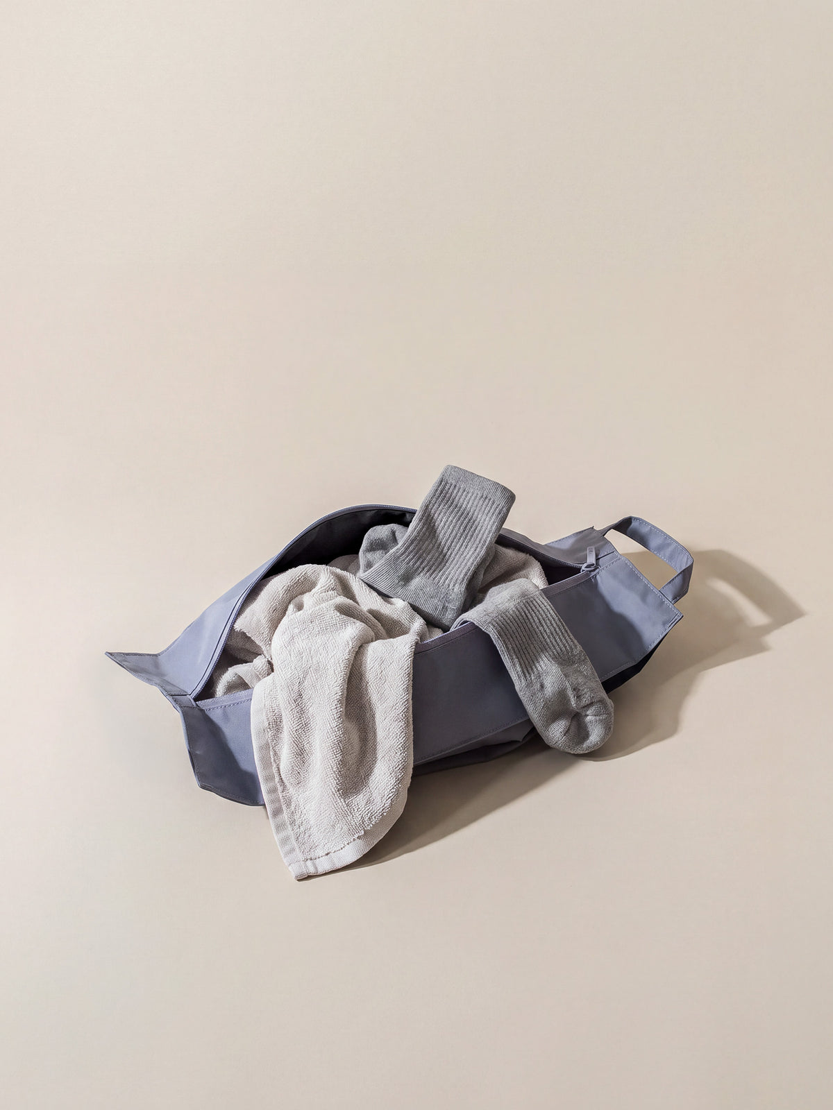 Shoe Bag
